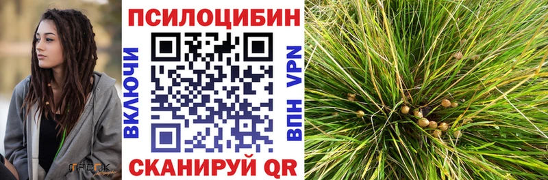 где купить наркоту  Козловка  Галлюциногенные грибы Magic Shrooms 